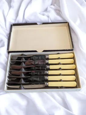 Antique 6 Piece Stainless Steel Butter Knife Set