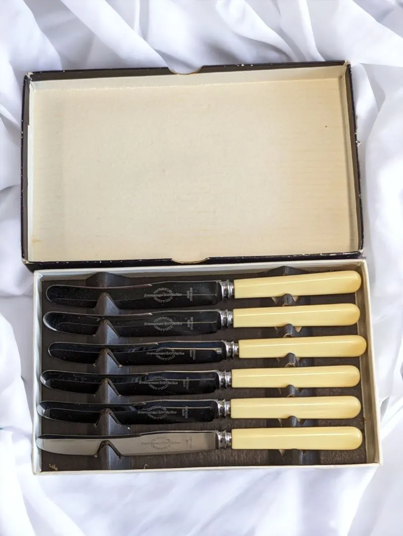 Antique 6 Piece Stainless Steel Butter Knife Set