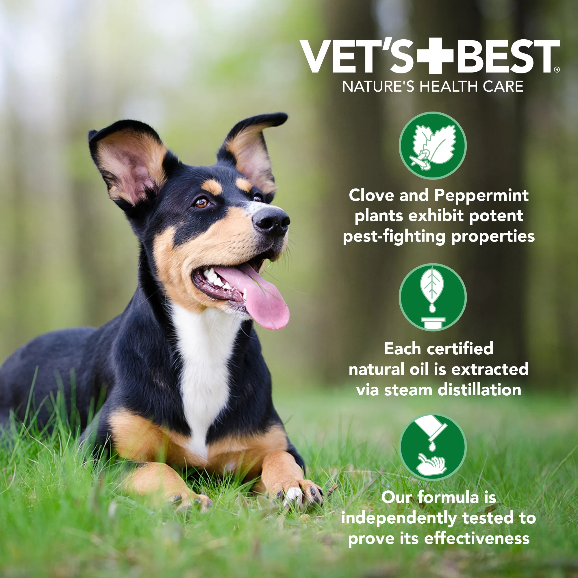 Vet's Best Natural Anti-Flea Easy Spray Shampoo 16oz